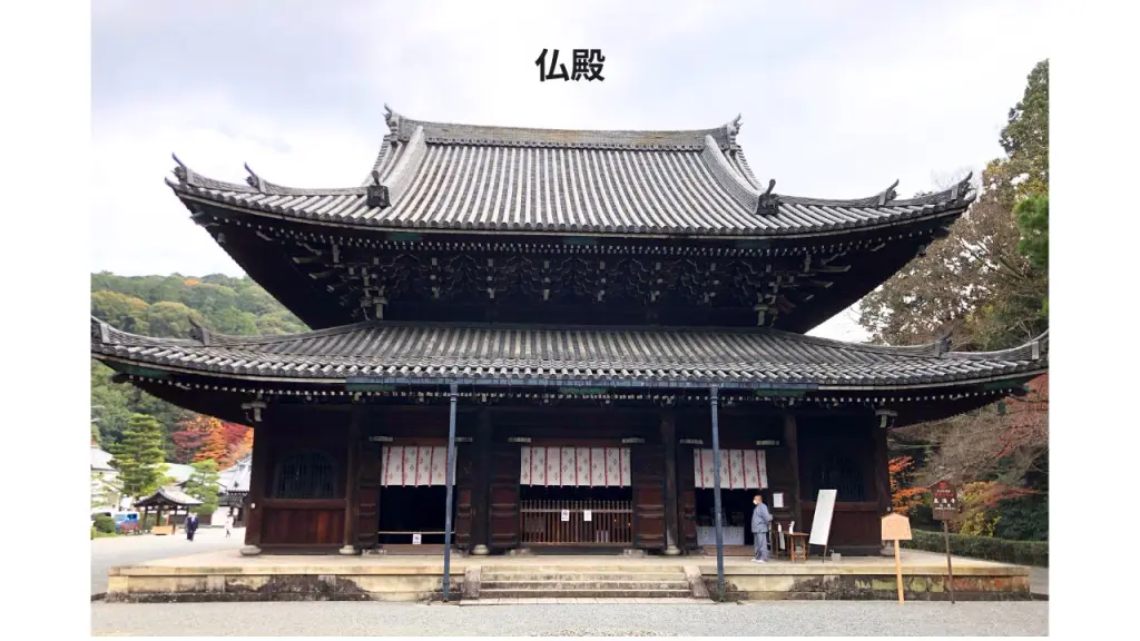 楊貴妃観音と三尊仏【泉涌寺】それぞれの造形美や歴史を解説｜京都