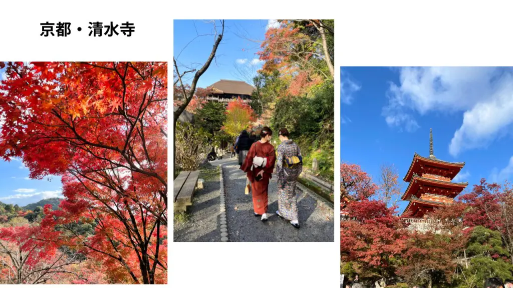 清水寺の千手観音｜御開帳は2033年、今会えるお前立ち像 | 心整う 仏像旅