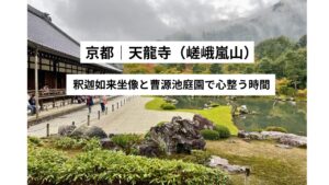 【天龍寺】釈迦如来坐像と庭園の美しさの魅力｜京都・嵐山