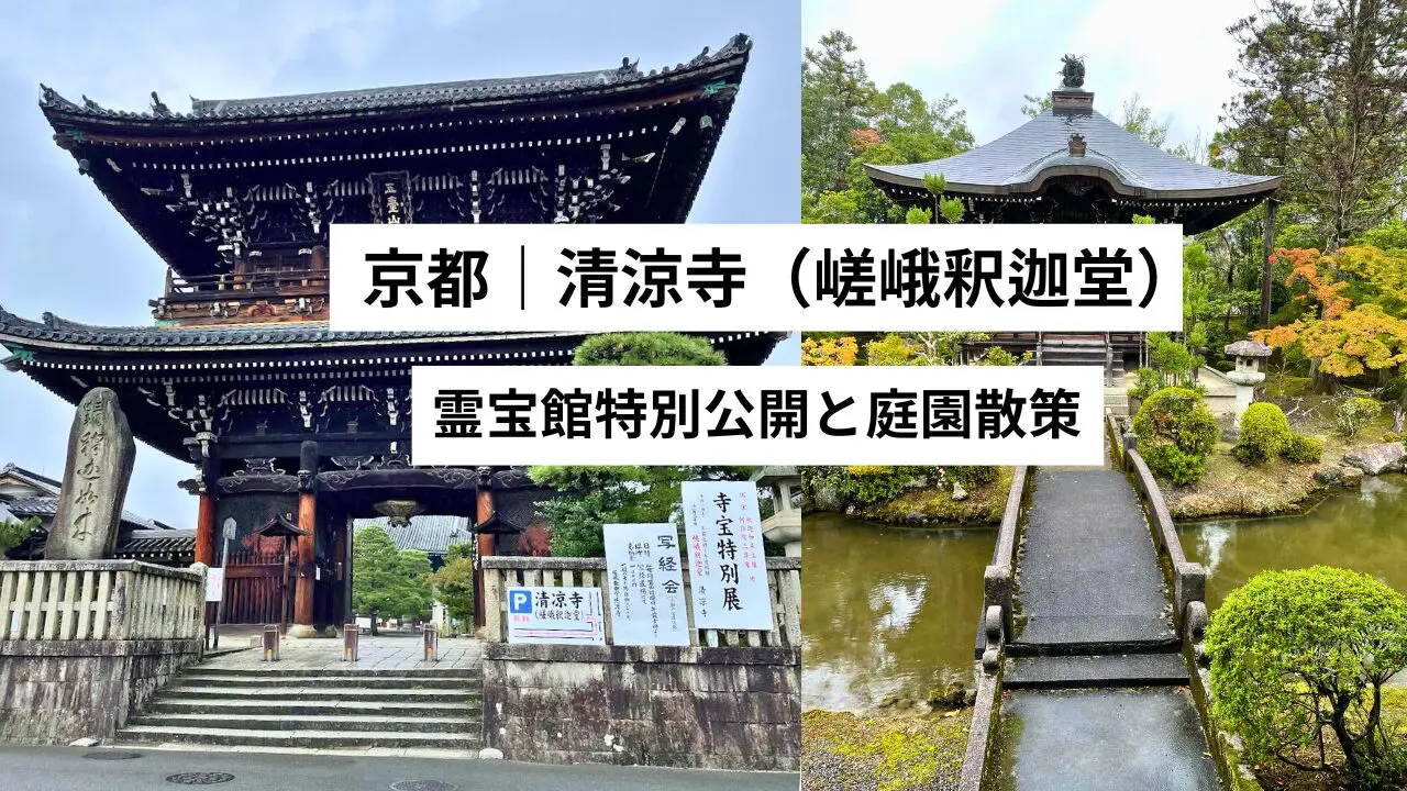 清涼寺】特別拝観｜仏像の魅力や歴史・見どころを解説｜京都 | 心整う