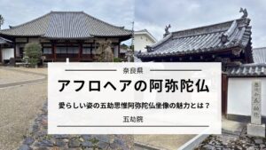 五劫思惟阿弥陀如来像(奈良・五劫院)|アフロ仏像の意味と見どころ