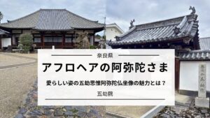 五劫思惟阿弥陀如来像(奈良・五劫院)|アフロ仏像の意味と見どころ