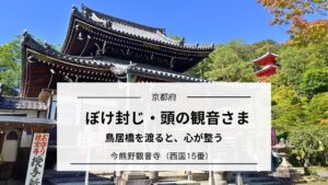 今熊野観音寺|ぼけ封じ・頭の観音さまと青紅葉の鳥居橋