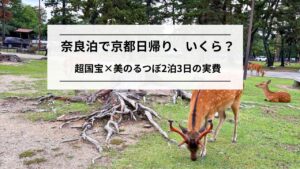 【実録】奈良2泊+京都1日の費用公開|特別展巡り2泊3日
