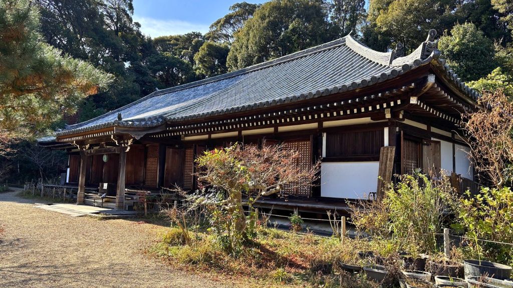浄瑠璃寺の本堂(九体阿弥陀堂)を横から見た外観