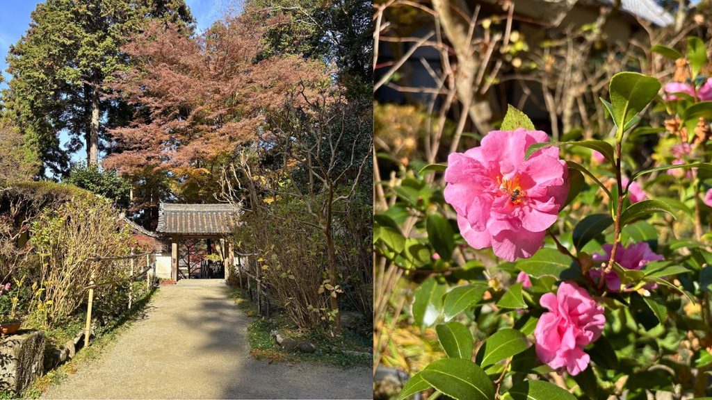帰りの三門・椿